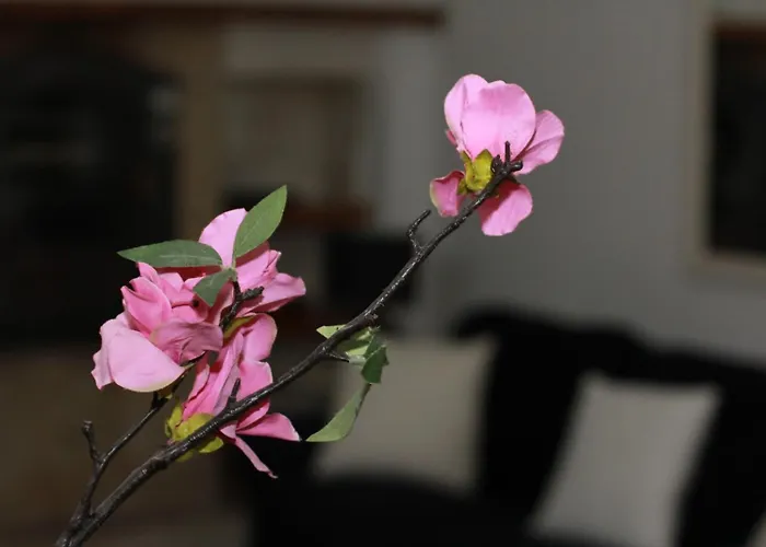 Loft Sul Fiume Center Apartment *