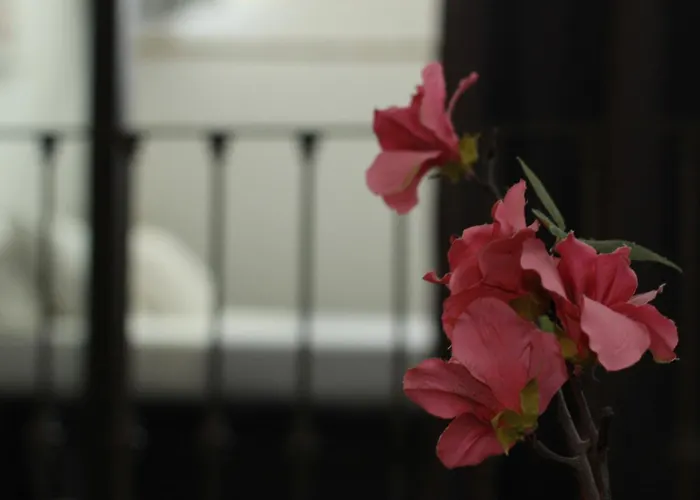 Apartment Loft Sul Fiume Center